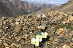 01a7ea7aae1ab3bfaa3b72d55e225037e1f8255c3e