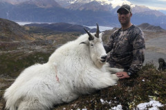 01d12d8e6f397420a389c12b98678a140c78498eed