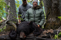 Black-bear