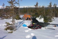 Wild-Bill-Spring-2006-55