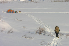 Wild-Bill-Spring-2006-70