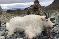 book-Mtn-Goat