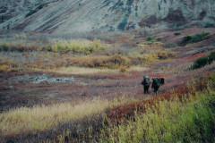 scan0018