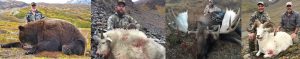 Alaska Summit Guide service hunts